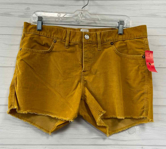 Size 10 Gap Shorts