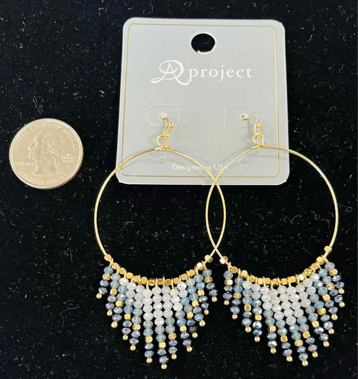 a project Earrings