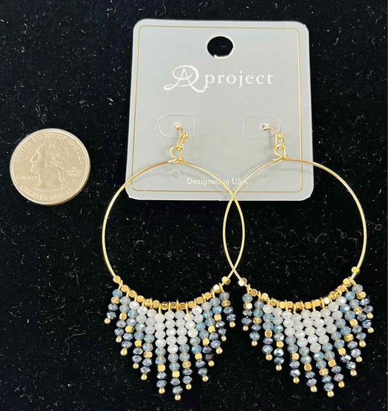 a project Earrings