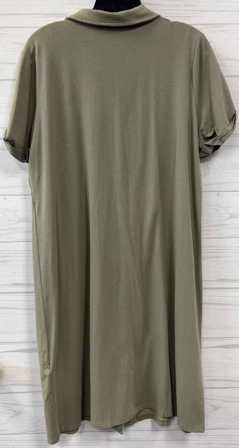 Size 2 Chicos Dress