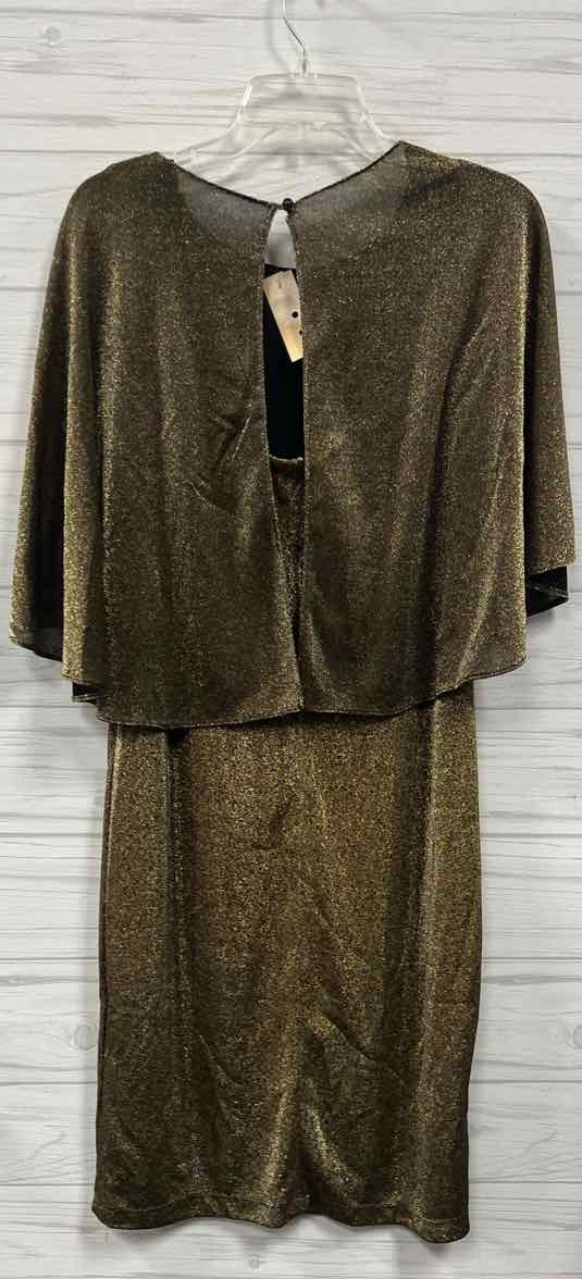 Size 14 Ronni Nicole Dress