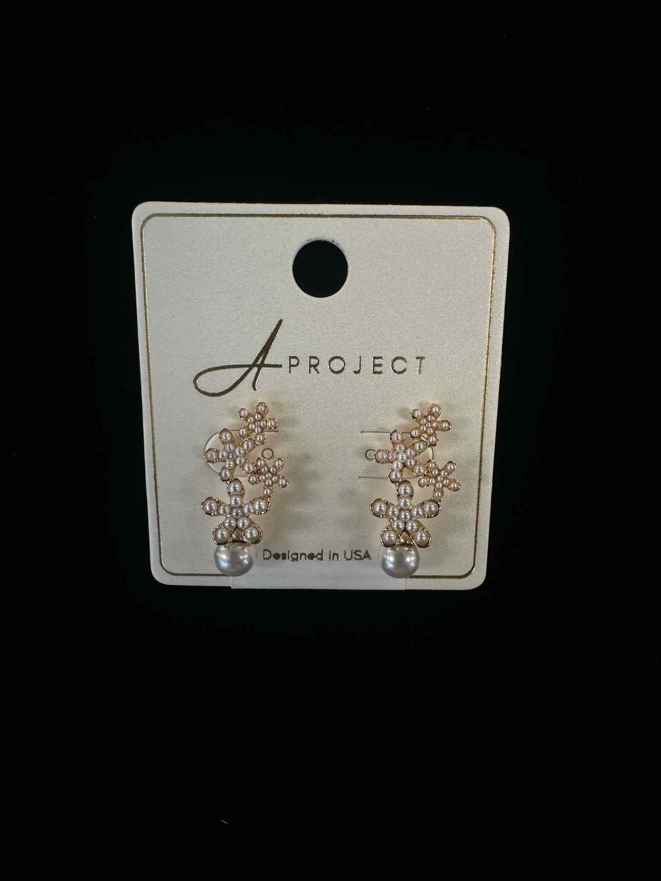 a project Earrings