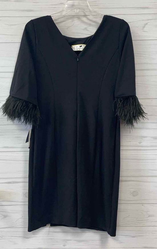 Size 14 Adrianna Papell Dress