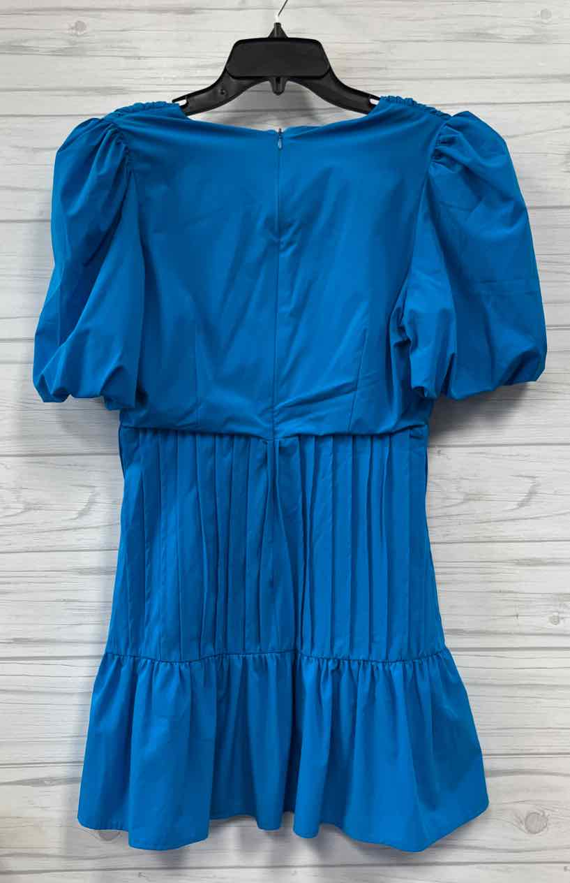 Size L TCEC Dress