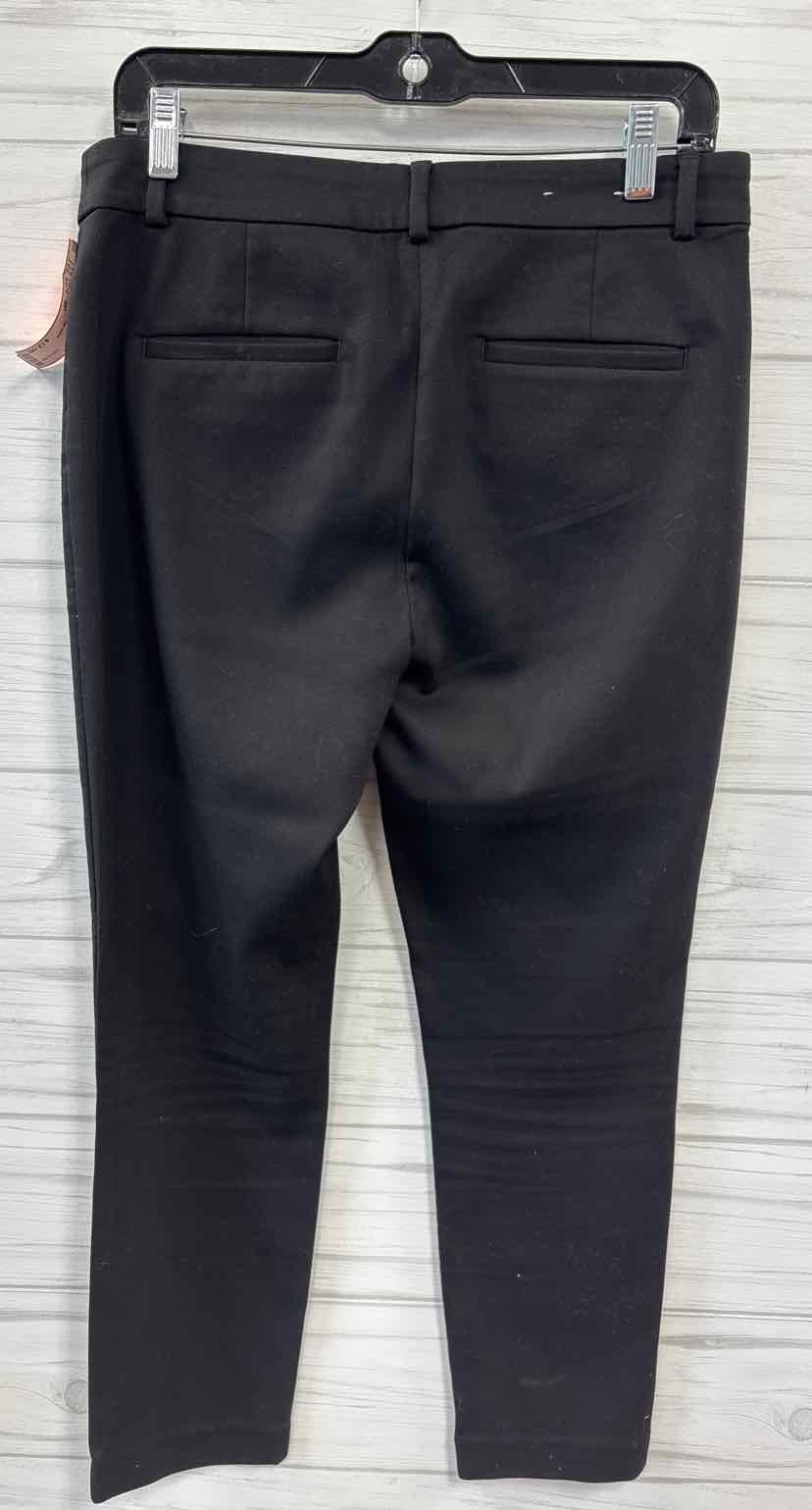 Size 6P Loft Pants