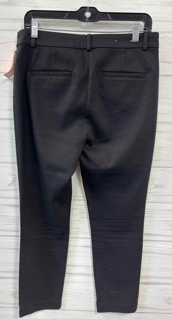 Size 6P Loft Pants