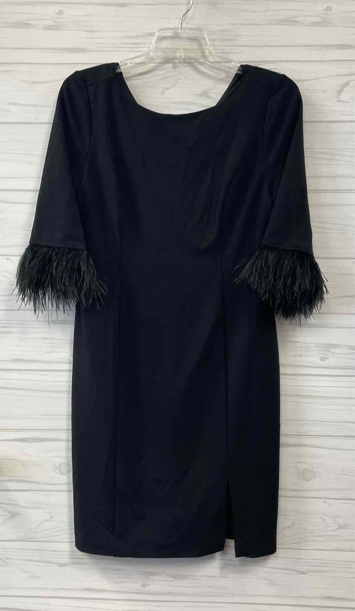 Size 14 Adrianna Papell Dress
