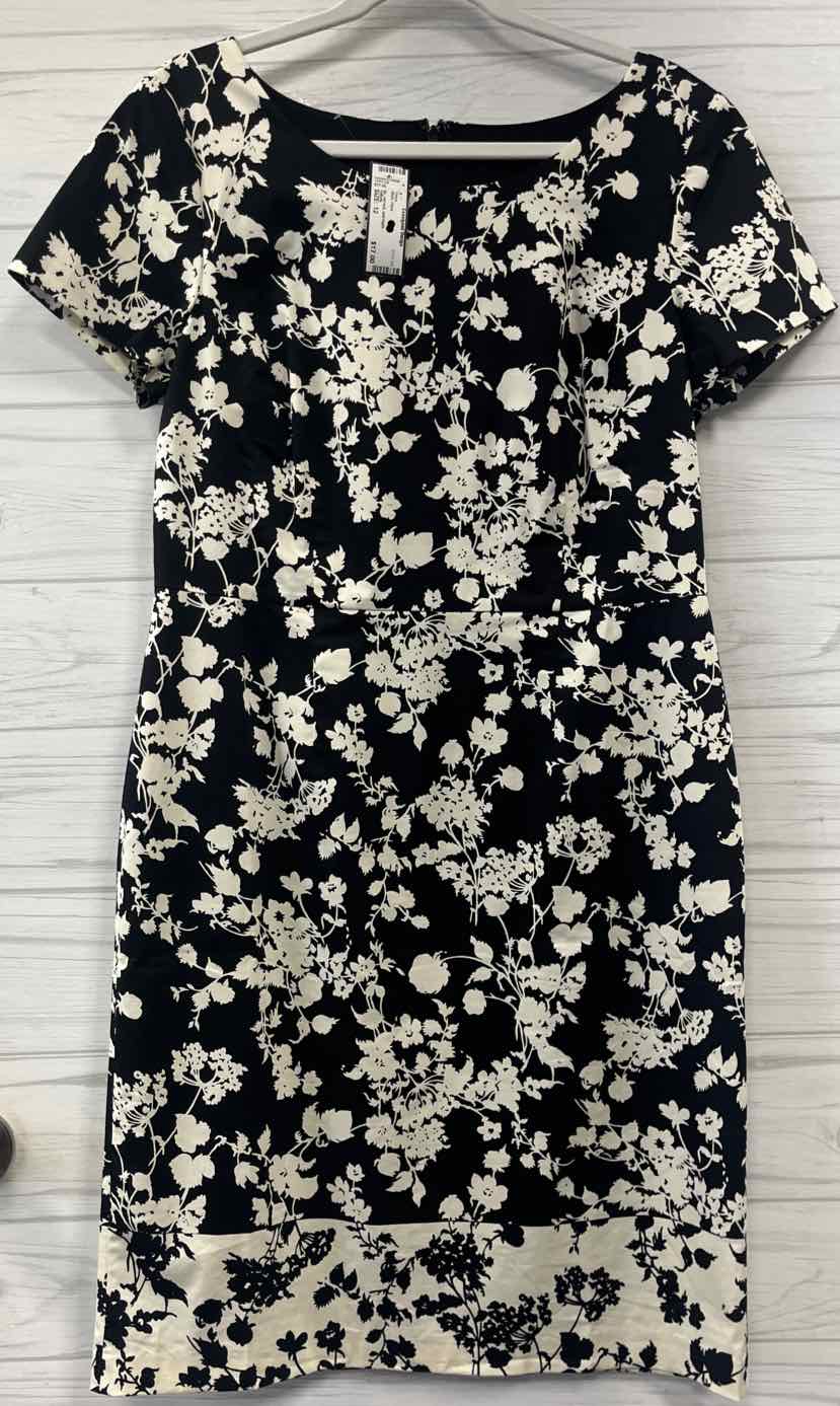 Size 12 Talbots Dress
