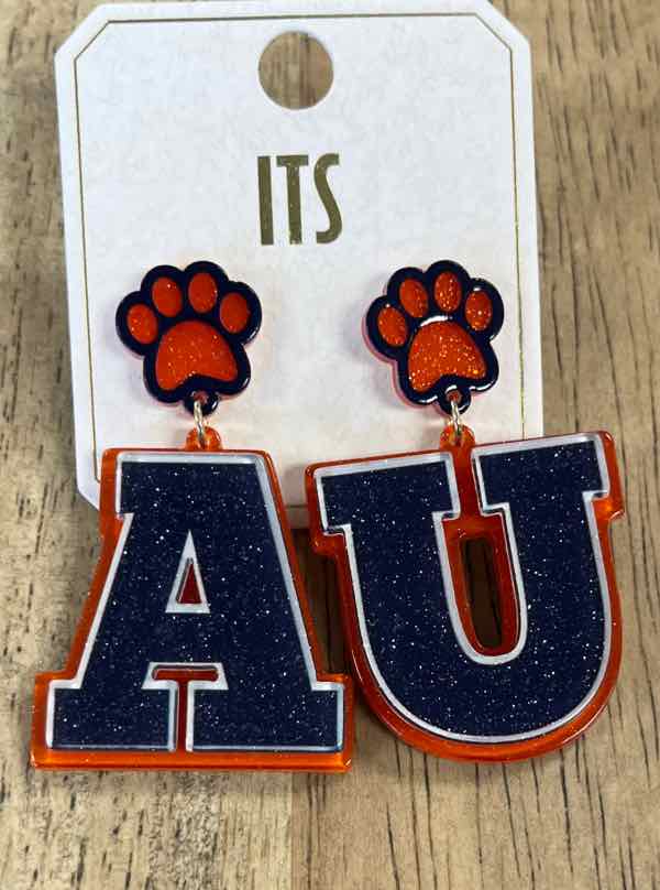 ITS Earrings