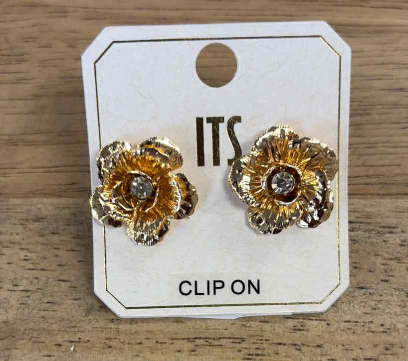 ITS Earrings