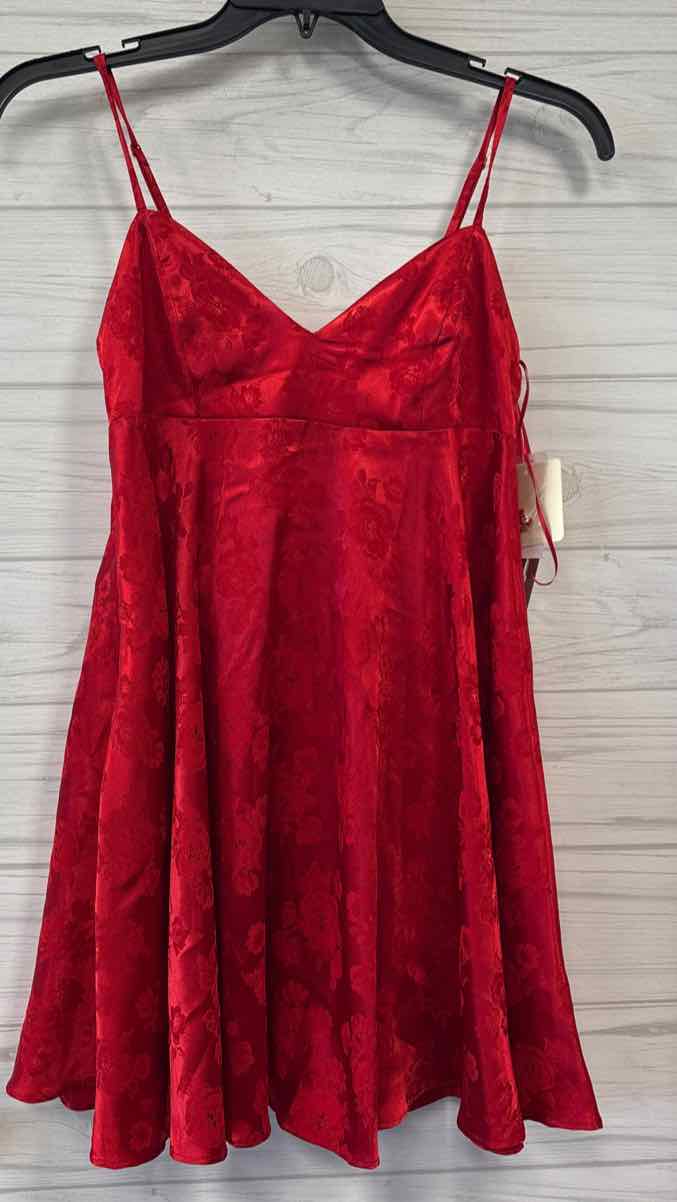Size M Charmed Hearts Dress