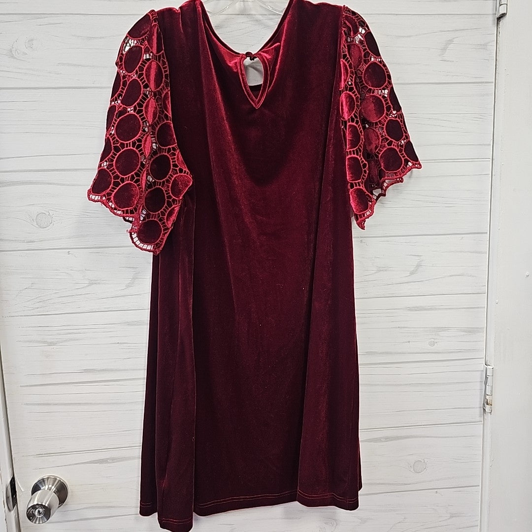 Size L Umgee Dress