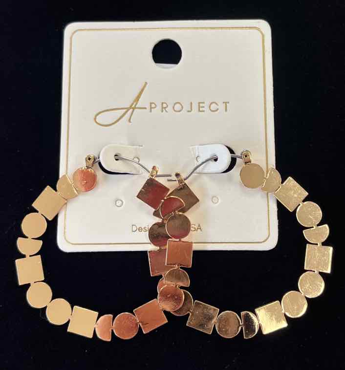 a project Earrings