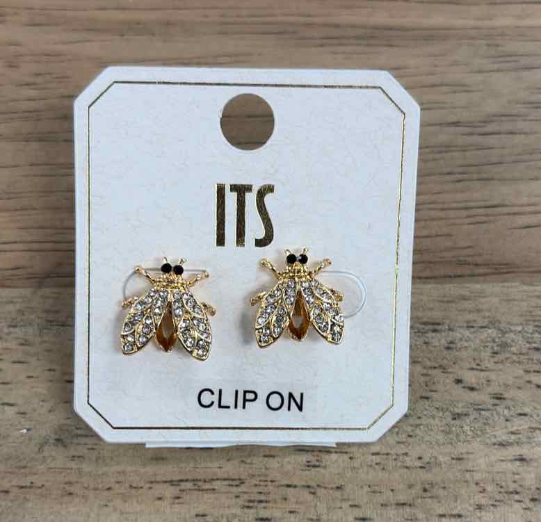 ITS Earrings