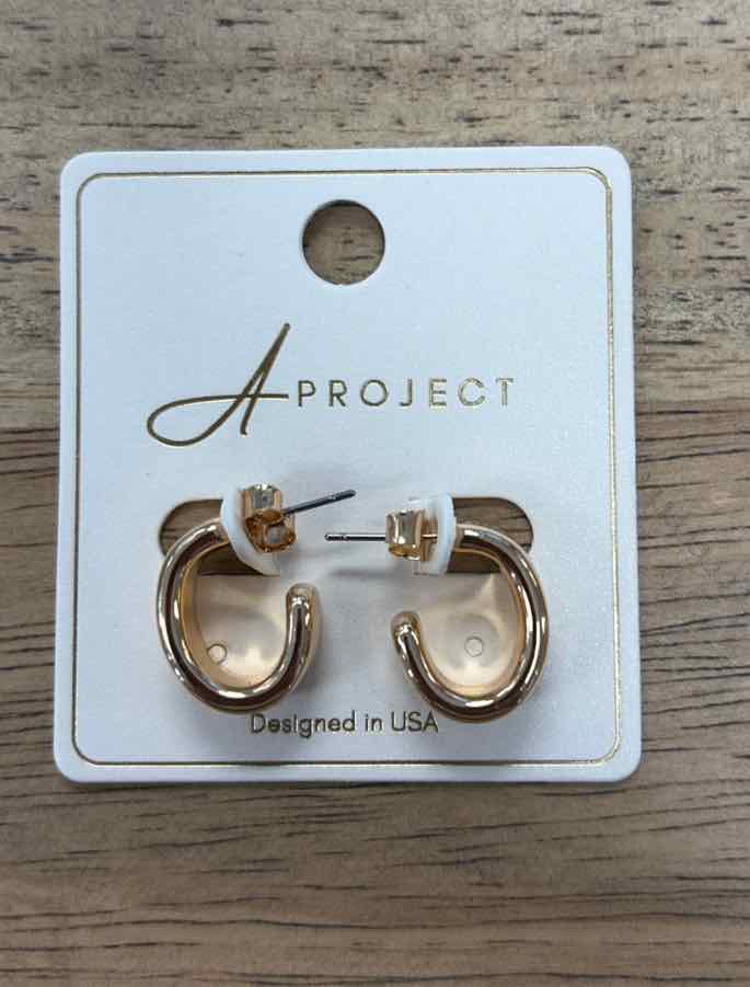 a project Earrings