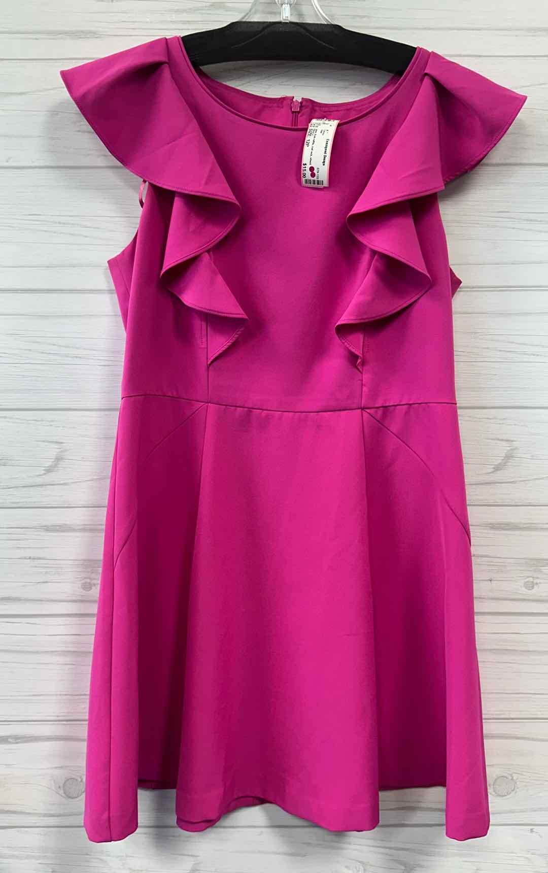 Size 12P Eliza J Dress