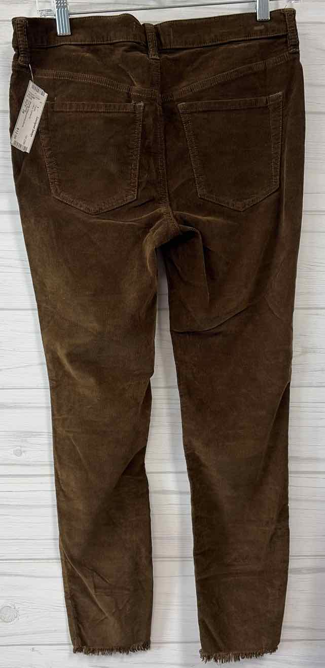 Size 28 Free People Pants