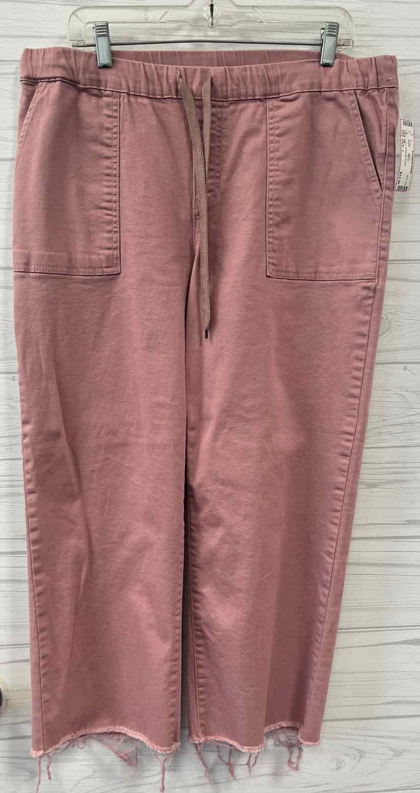 Size L YMI Pants