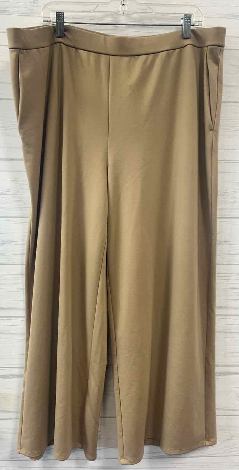 Size 1X EILEEN FISHER Pants