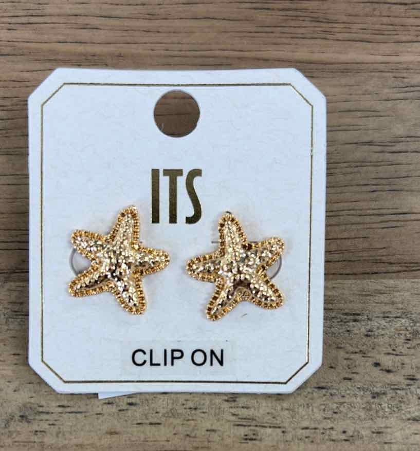 ITS Earrings