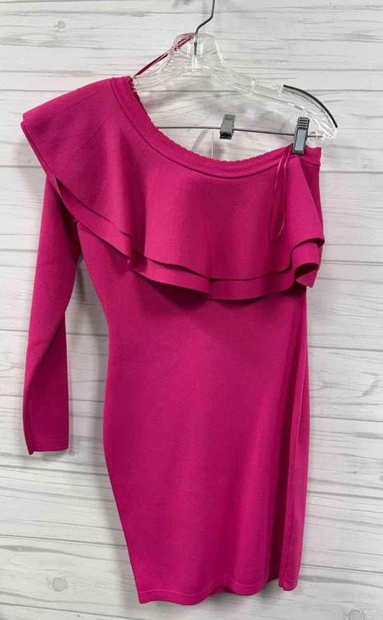 Size S Endless Rose Dress