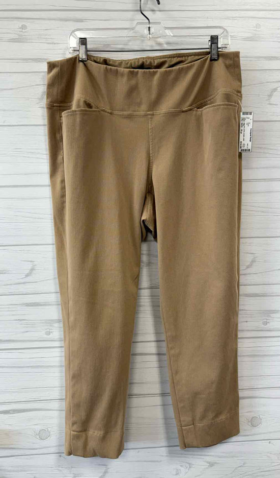Size XLp J.Jill Pants