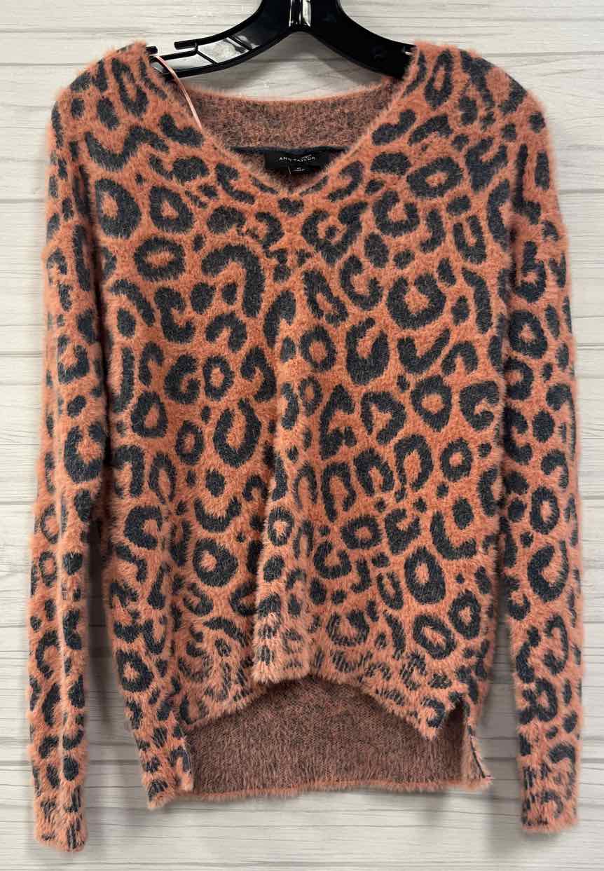 Size XS Ann Taylor Sweater