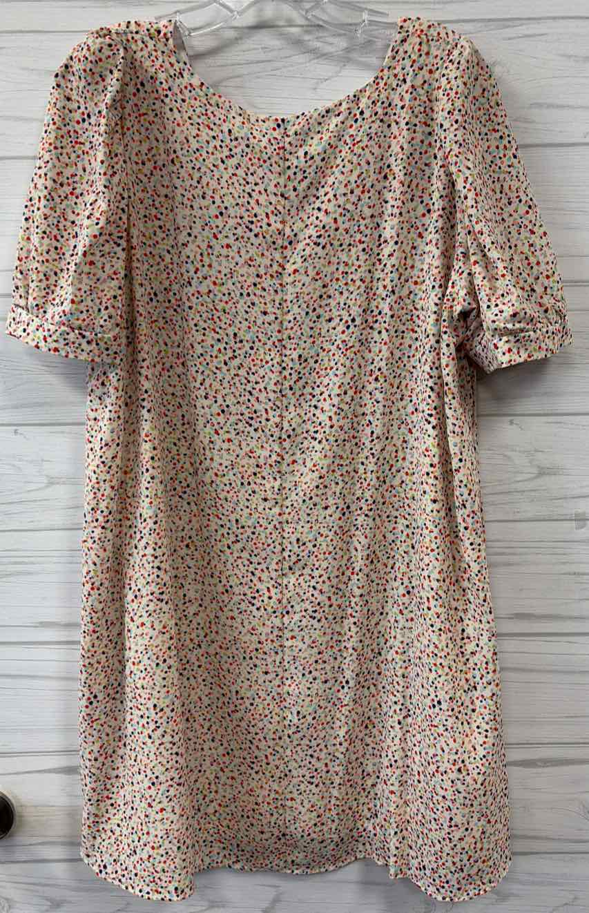 Size L Adrienne Dress