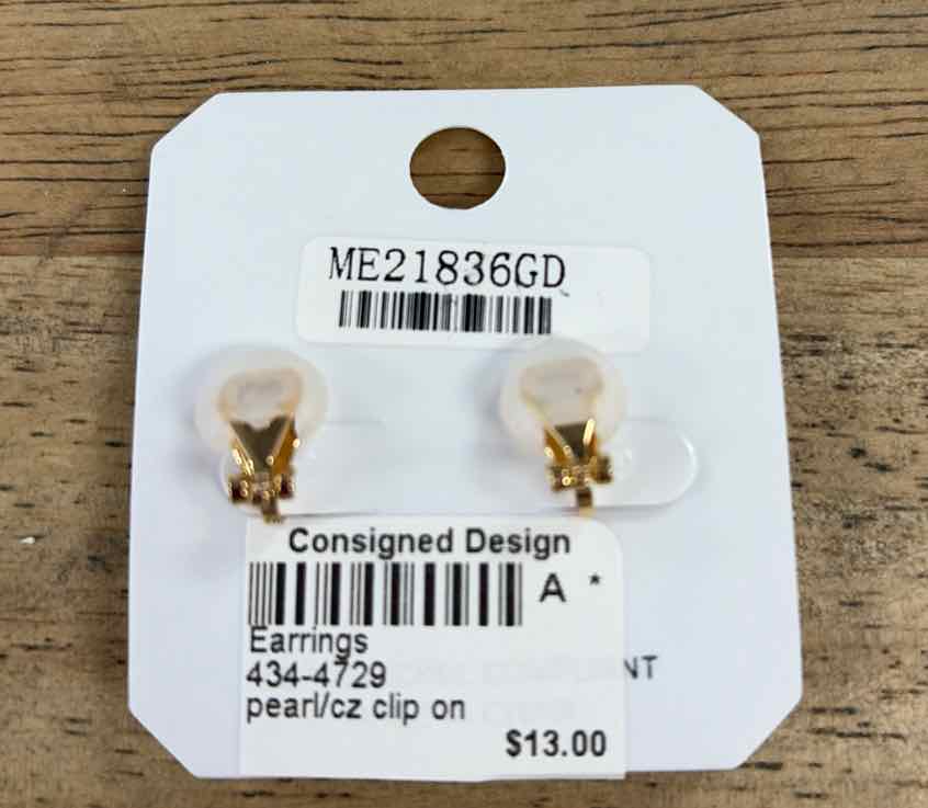 ITS Earrings