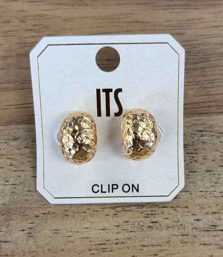 ITS Earrings