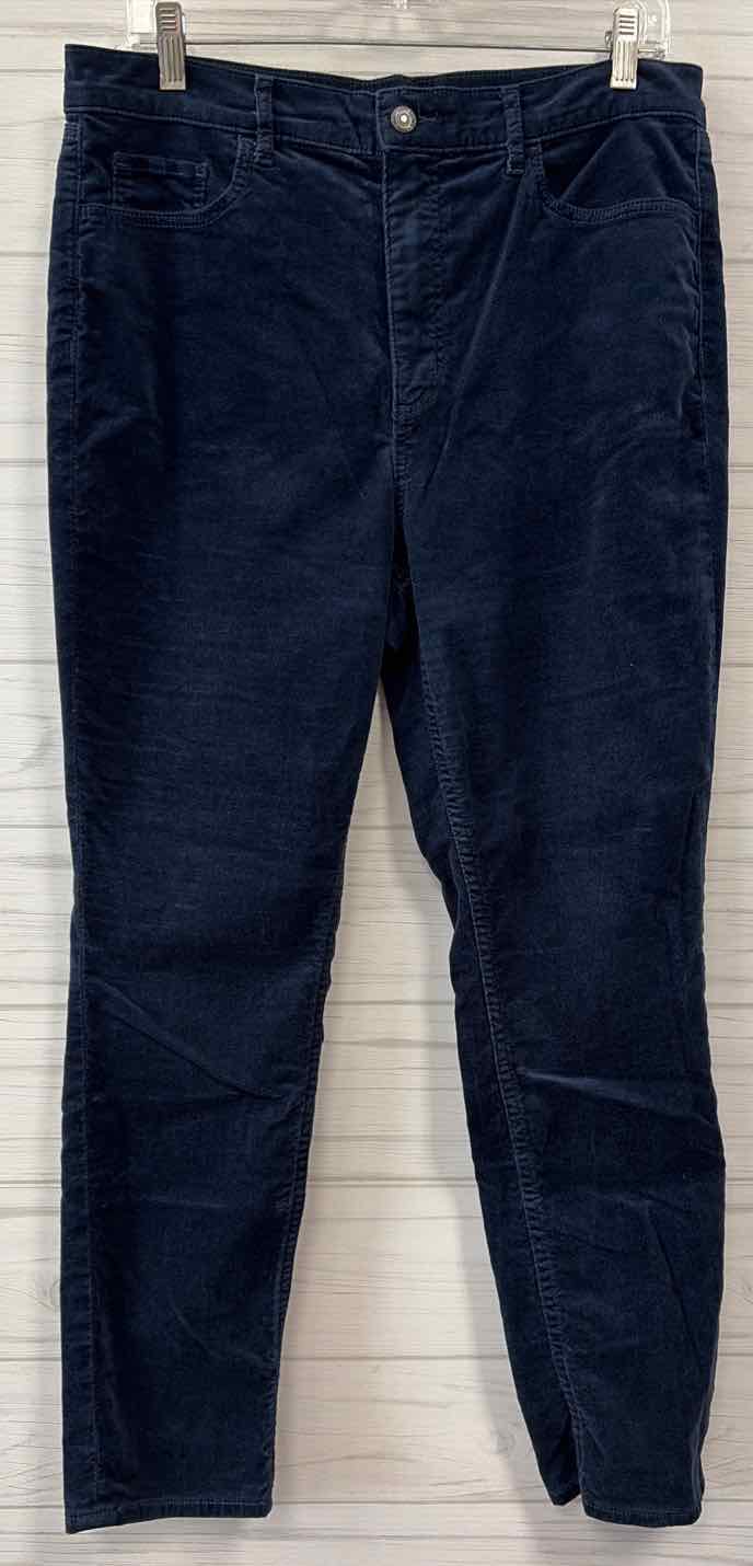 Size 12/31 Loft Pants