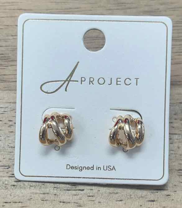 a project Earrings