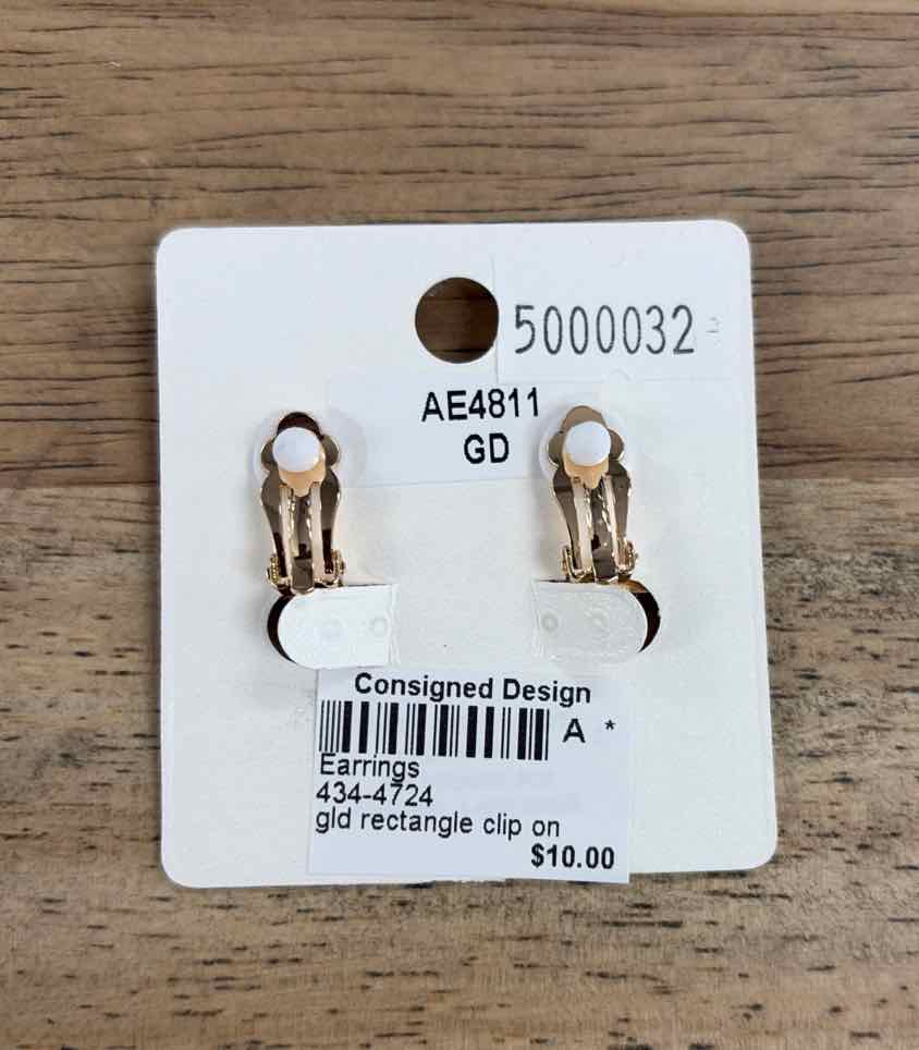a project Earrings