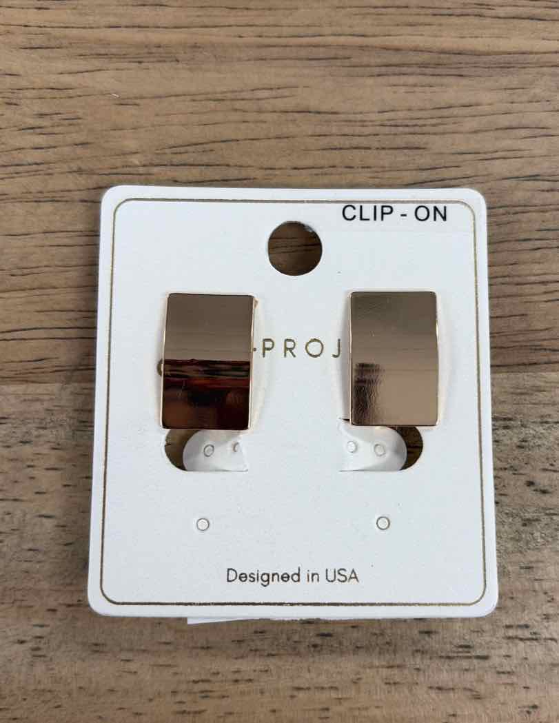 a project Earrings