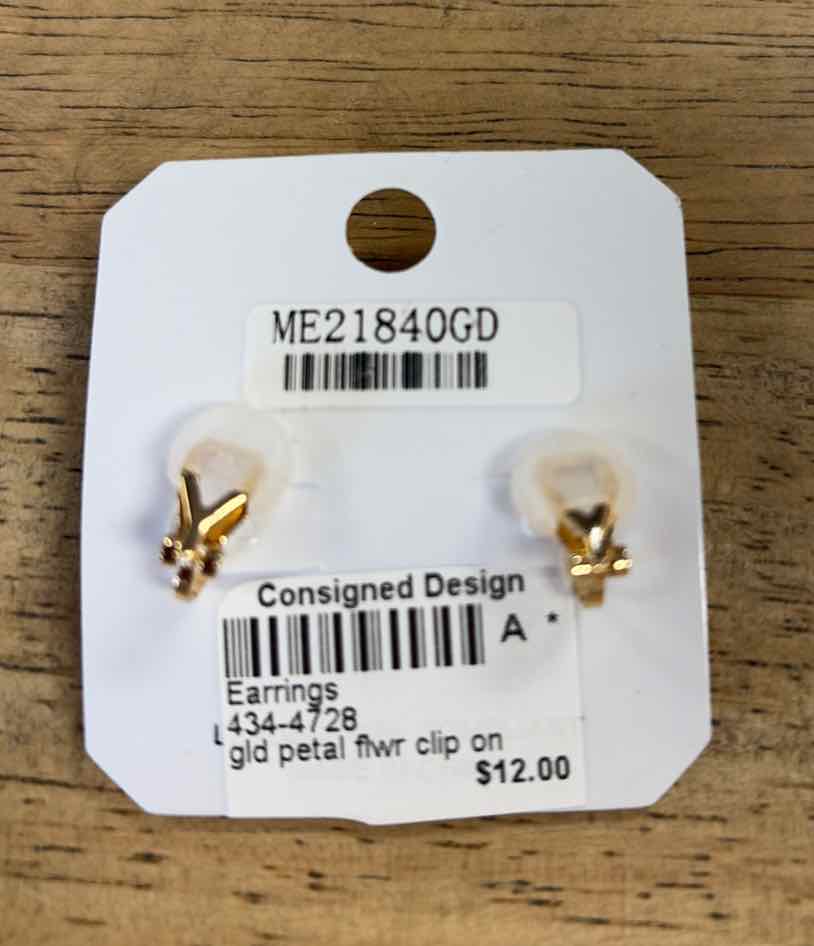 ITS Earrings