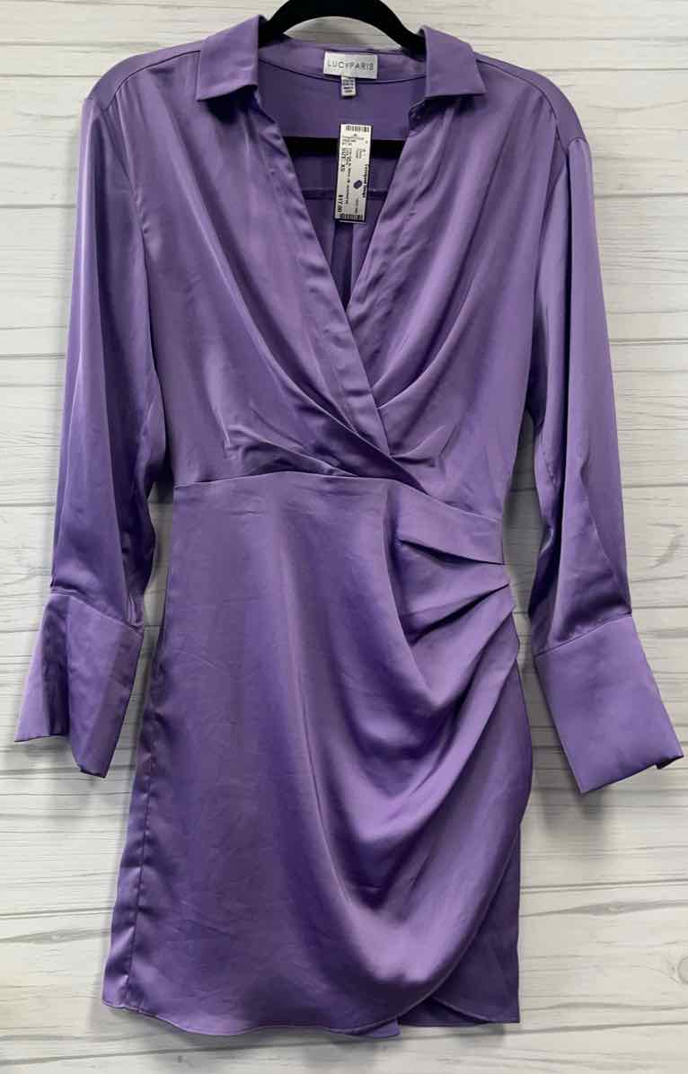 Size XS Lucy Paris Dress