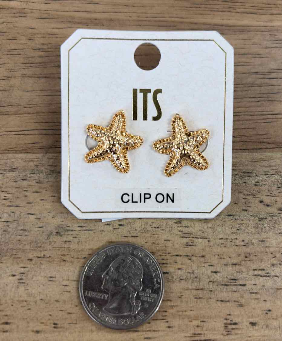 ITS Earrings