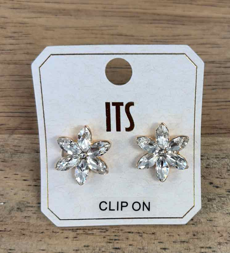 ITS Earrings
