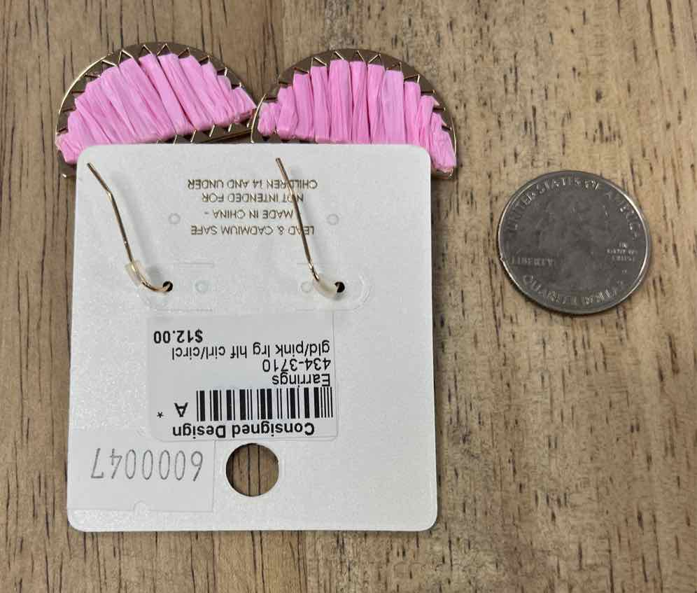 a project Earrings