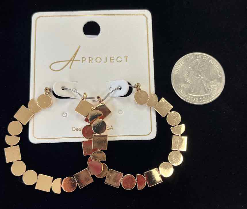 a project Earrings