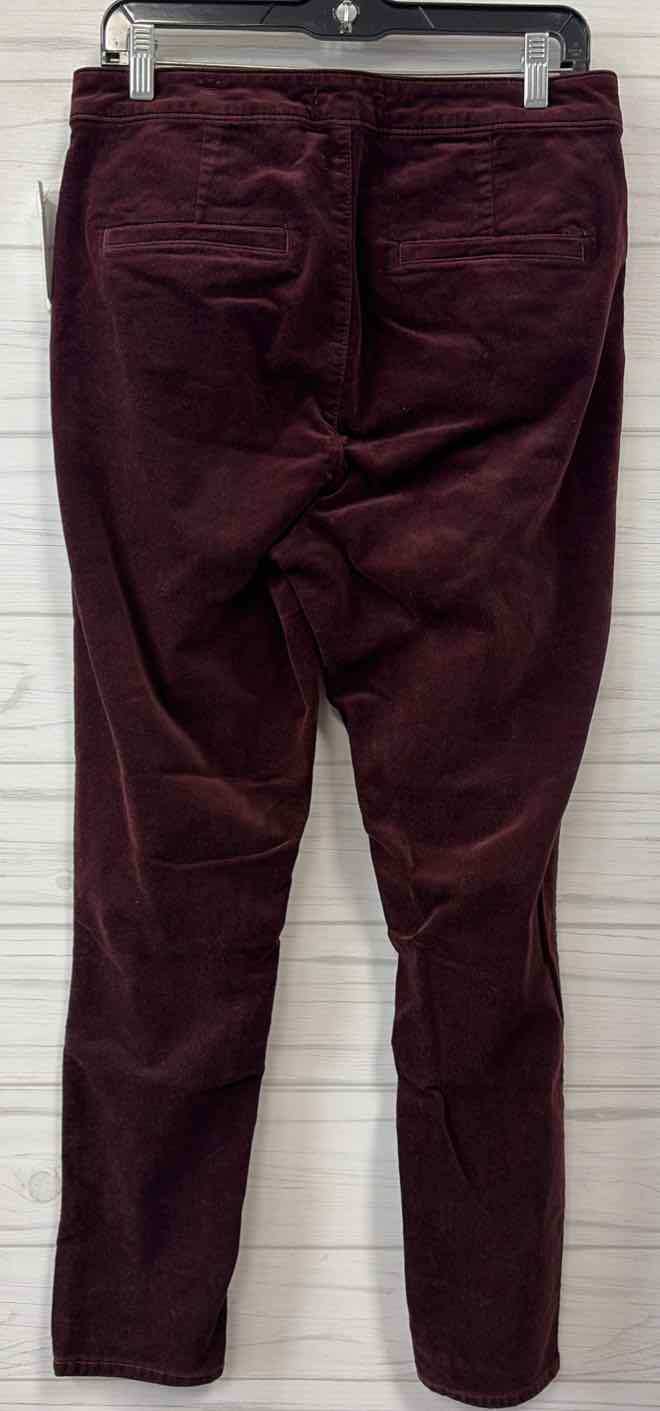 Size 10/30 Loft Pants