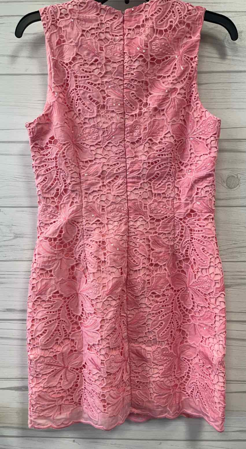 Size S Endless Rose Dress