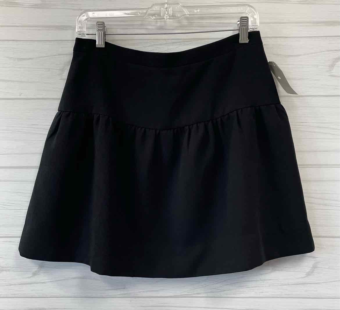 Size 4 J. CREW Skirt