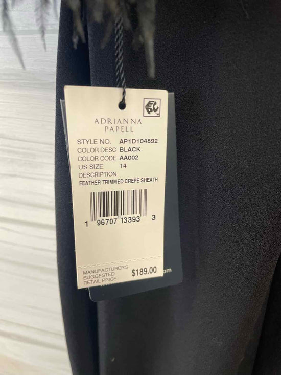 Size 14 Adrianna Papell Dress