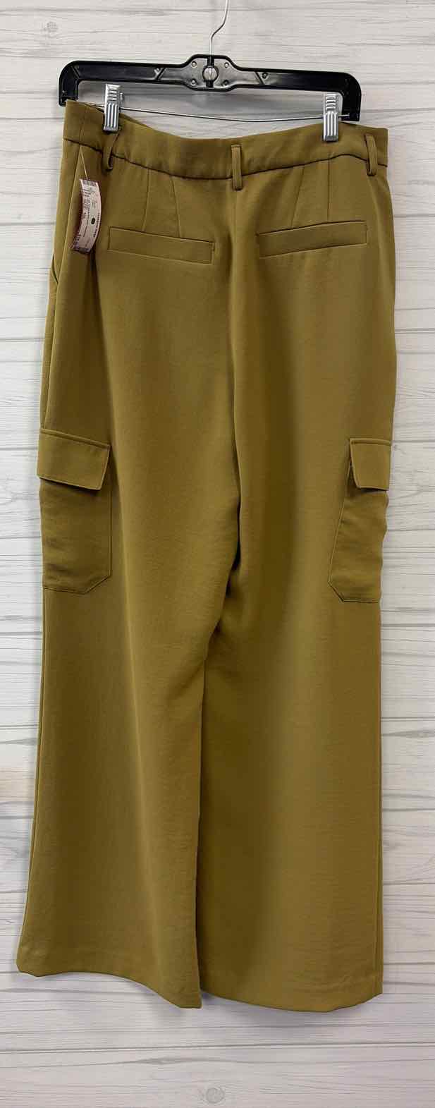 Size 10L Express Pants