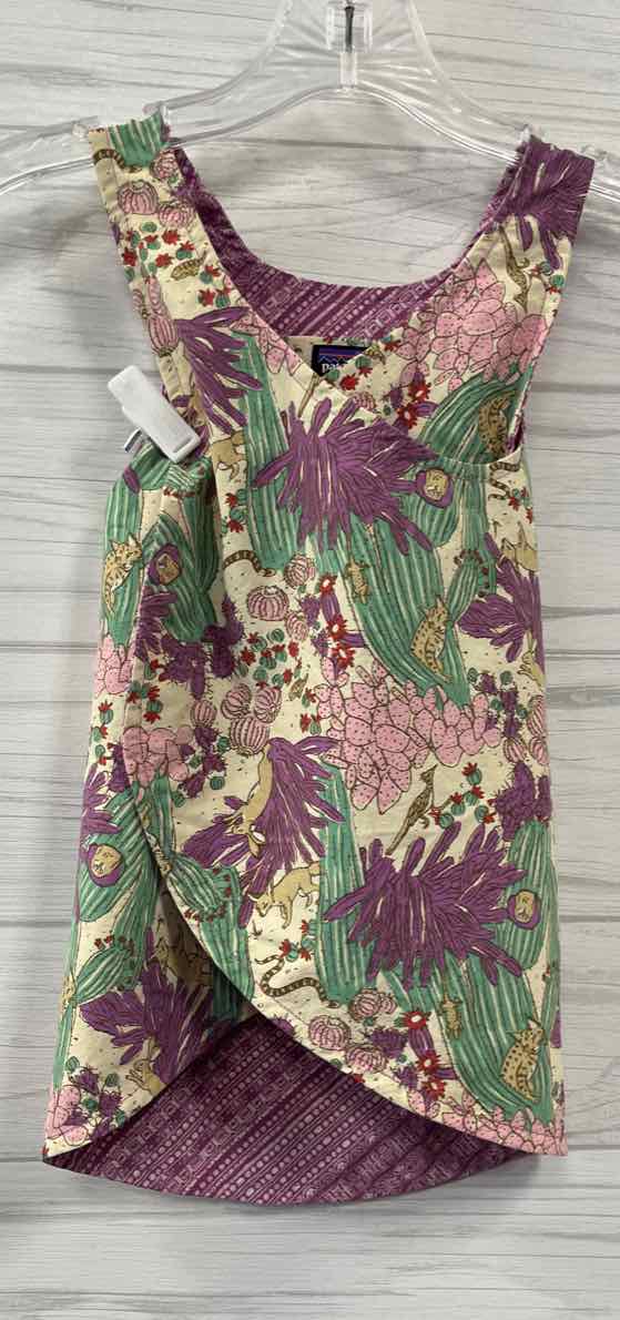 4T Patagonia Dress