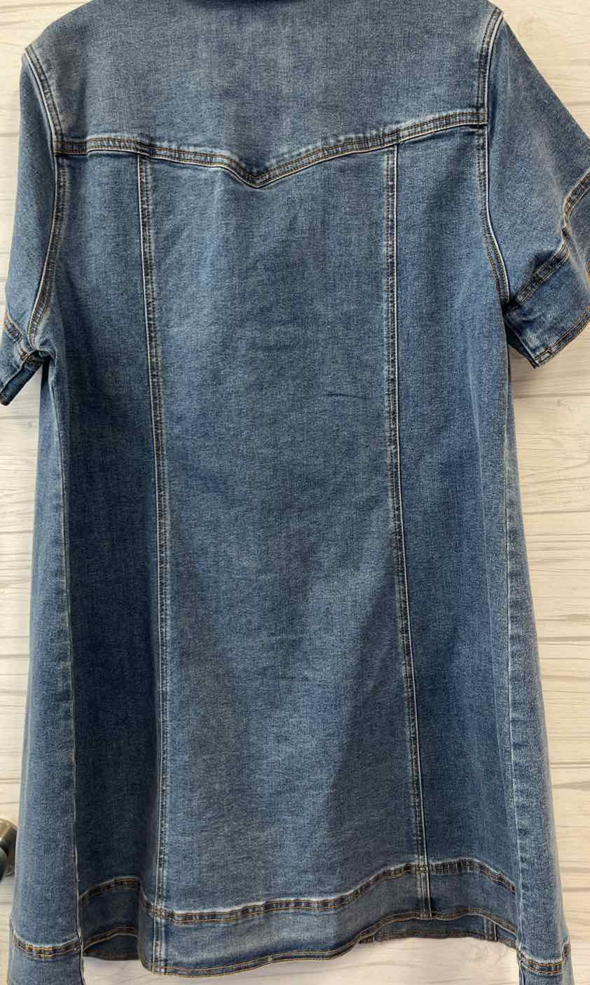 Size XL Habitual Dress