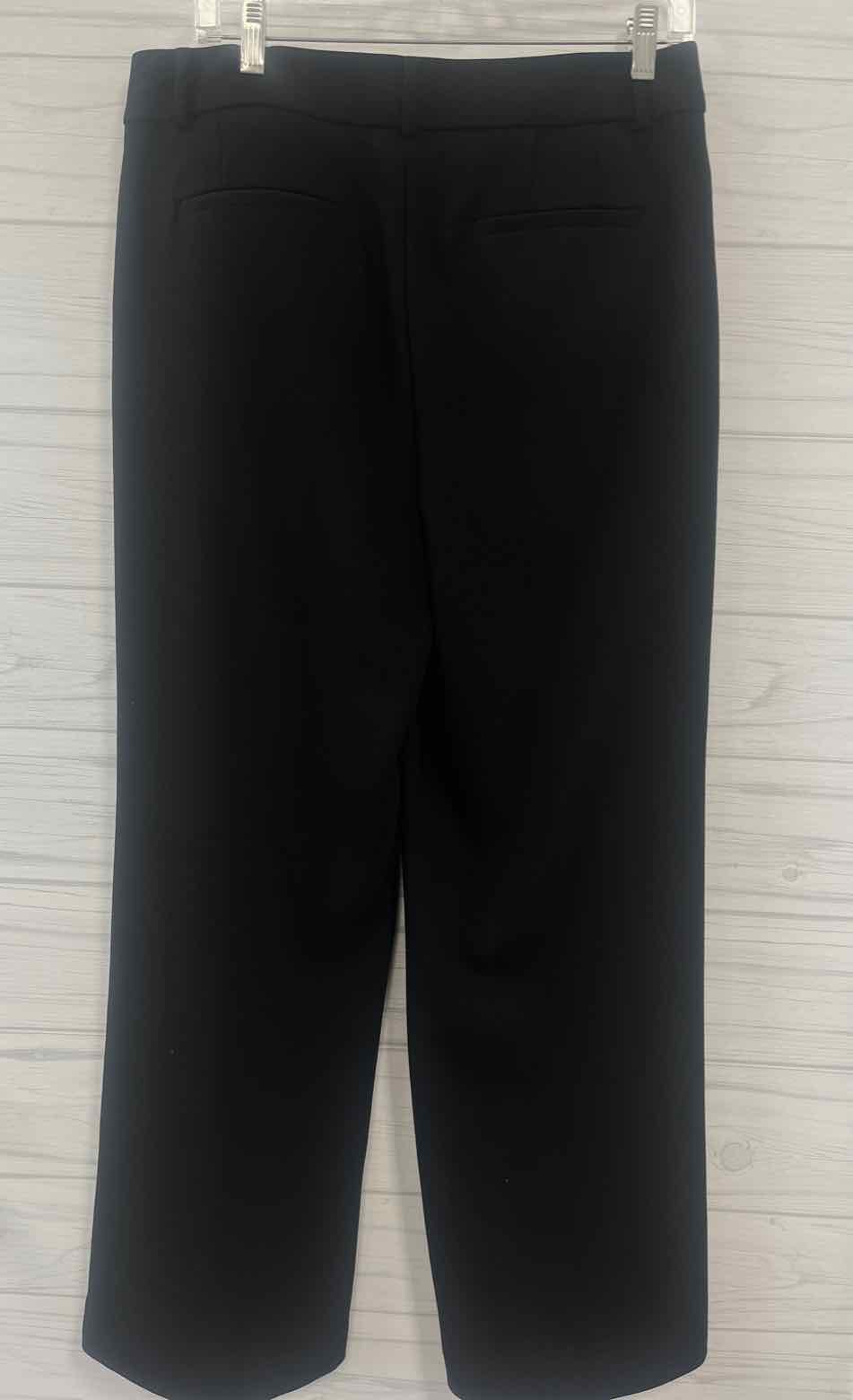 Size 10 Loft Outlet Pants