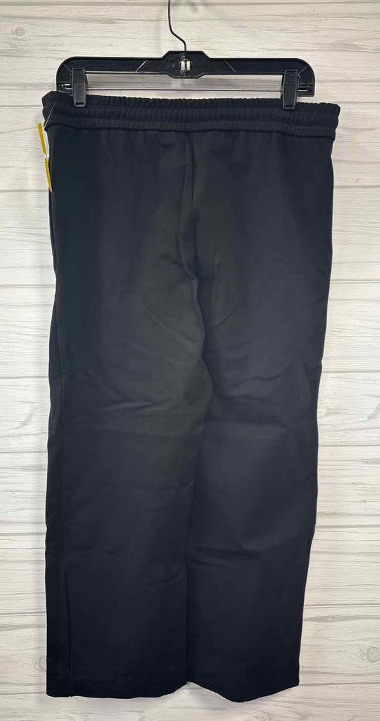 Size M Ann Taylor Pants
