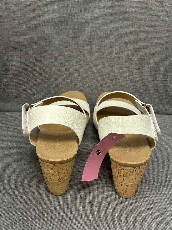 7 CL BY LAUNDRY Shoes